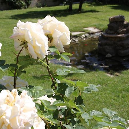 Villa Mencia Corullon Екстер'єр фото