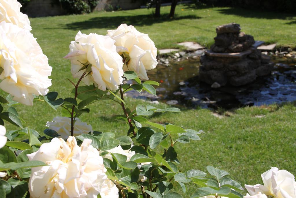 Villa Mencia Corullon Екстер'єр фото